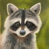 Mapache en pastel. Un proyecto de Dibujo y Bellas Artes de Verónica - 21.06.2025