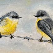 Juvenile Robins. Projekt z dziedziny  Sztuki piękne, Malarstwo olejowe i  Malarstwo użytkownika Kat Sarhani - 23.06.2025