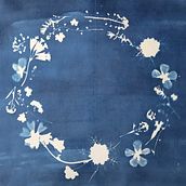 Introduction au cyanotype : Créez une impression botanique. Een project van Craft, DIY, Graveren,  Analoge fotografie,  Beeldende kunst, Fotografie y Printen van Solweig Gerbier - 25.06.2025