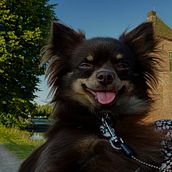 Danilo . Photograph, Portrait Photograph, Lifest, le Photograph, Instagram Photograph, Documentar, and Photograph project by Michelle Vosselman - 06.28.2025