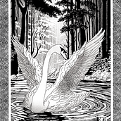 La métamorphose du vilain petit canard . Digital Illustration project by Catherine DI GIORGIO - 06.30.2025