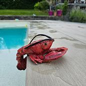 Hummer . Arts, Crafts, Fine Arts, Sound Design, Food St, ling, and Ceramics project by jutscheka - 06.30.2025