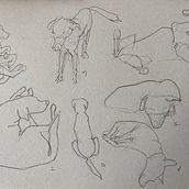 Soro. Un proyecto de Dibujo, Dibujo anatómico, Dibujo a lápiz, Dibujo de Retrato, Sketchbook y Bocetado de Çiğdem nur Turhan - 01.07.2025
