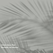 Alura Plata. Br, ing, Identit, Graphic Design, Social Media Design, and Web Design project by ianm8488 - 07.04.2025