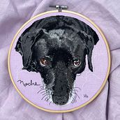 NOCHE. Retratos de mascotas: técnicas para bordar pelaje. Arts, Crafts, Embroider, and Textile Design project by sayudeh - 07.04.2025