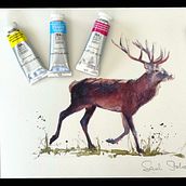 🥳Free video of a watercolour Stag painted in CMYK  Ein Projekt aus dem Bereich Aquarellmalerei von Sarah Stokes - 08.07.2025