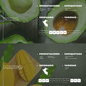 Catálogo Ara export. Un projet de Design graphique, Br et ing et identité de Sheyla Tamara Castillo Vásquez - 08.07.2025