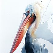 Final Project for the course Artistic Watercolor Techniques for Illustrating Birds by Sarah Stokes. Un projet de Illustration traditionnelle, Aquarelle, Dessin réaliste et Illustration naturaliste de michele_marti - 14.07.2025