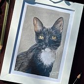Projeto Final Curso Realismo de Pets. Ilustração tradicional e Ilustração naturalista projeto de gabilkartista - 16.07.2025