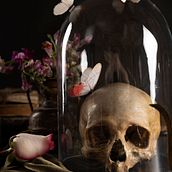 El coleccionista de recuerdos. Un proyecto de Escritura de Marcos Fávero - 18.07.2025