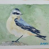Pájaros en su entorno. Traditional illustration, Naturalistic Illustration, and Watercolor Painting project by Beatriz Fid - 07.19.2025
