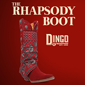 The Rhapsody Boot . Un projet de Illustration numérique, Conception de produits, Photographie numérique, Conception de chaussures, St, lisme, Photographie de mode, Illustration de mode , et Photographie de produits de Danielo Campbells - 23.07.2025