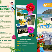Turismo en Venezuela . % Anderwin Juárez Corro tarafından hazırlanan Markalaşma ve Kimlik, Grafik Tasarım, Web Tasarımı, Ve Sosyal Medya Tasarımı projesi - 07.23.2025