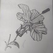 flor de ibiscus. Un projet de Conception de tatouage de Lessli Amanda Cuevas Valdebenito - 27.07.2025
