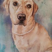 Watercolour painting commission of dog on rough cotton paper Ein Projekt aus dem Bereich Bildende Künste von Diane Agius Calleja - 29.07.2025