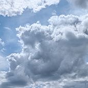 Head in the Clouds. Writing, and Creative Writing project by Van Thi Diep - 08.01.2025