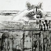 Raccoon: charcoal. Un projet de Dessin, Illustration naturaliste , et Beaux Arts de Lydia Z - 02.08.2025