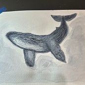 Baleia jubarte em aquarela . Un projet de Illustration naturaliste, Peinture, Aquarelle , et Beaux Arts de vii09duarte - 02.08.2025