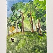 Chewbacca in Parque de Oeste Ein Projekt aus dem Bereich Traditionelle Illustration, Aquarellmalerei und Sketchbook von Claudia Liu - 03.08.2025