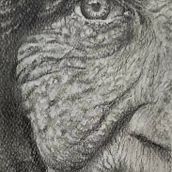 Lo que guarda el tiempo . Desenho realista, Desenho, e Desenho a lápis projeto de Mariela Ambrosis - 04.08.2025