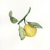 Frutas e Aquarela . Lukisan proyek oleh Eliene - 08.04.2025