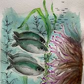 Sueños de Mar. Traditional illustration, Naturalistic Illustration, Painting, and Watercolor Painting project by Griselda Gottero - 08.05.2025