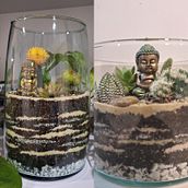Proyecto final Curso Terrarios Abiertos Ein Projekt aus dem Bereich Dekoration von Innenräumen, Innendesign, DIY, L, schaftsbau und Blumen- und Pflanzendesign von Paula Mosquera Correa - 05.08.2025