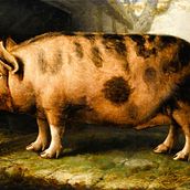 Troceado . Un projet de Narration, Stor, telling , et Écriture de pozzidana - 05.08.2025