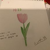 Tulipán . Artes plásticas, Desenho, Ilustração tradicional, Pintura, Pintura em aquarela e Ilustração botânica projeto de evaisabelaveraherrera - 07.08.2025