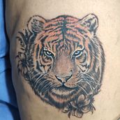 Panthera Tigris con Lirios al rededor, representando la fuerza y la delicadesa.. Tattoo Design project by Diego CR - 08.07.2025