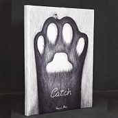 “Catch” illustrated book. Traditional illustration, Drawing, Arts, Crafts, Graphic Design, Fine Arts, and Design project by Virginia Mori - 08.11.2025