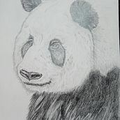 Proyecto Eduardo . Projekt z dziedziny  R, sunek, Trad, c, jna ilustracja, Ilustracja naturalist, czna, R i sunek ołówkiem użytkownika Eduardo Sánchez Ferreira - 12.08.2025