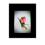 Ink & Wash Watercolors. Een project van Schilderij, Aquarelschilderen,  Tekening, Craft y  Illustratie met inkt van georgetteanderson89 - 13.08.2025