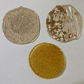 Pruebas con biomateriales. Un proyecto de Artesanía, DIY y Bellas Artes de Laura González - 15.08.2025