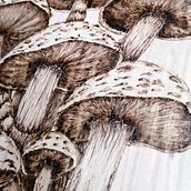 Pirograbado sobre madera. Arts, and Crafts project by Arlette Cassot - 08.16.2025
