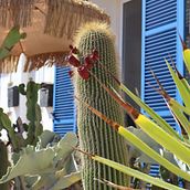 México en el mediterráneo . Projekt z dziedziny Fotografia lifest, le, Fotografia c, frowa, Fotografia, Fotografia art, st, czna, Fotografia plenerowa, Fotografia dokumentalna i Fotografia na Instagram użytkownika Javiera Oliva - 18.08.2025