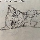 meine Lieblingstiere. Design de personagens, Ilustração infantil, Desenho, e Desenho a lápis projeto de andreanora - 19.08.2025