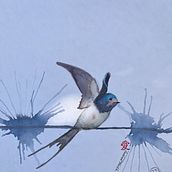 Mein Abschlussprojekt zum Kurs: Naturillustration - farbige und monochrome Aquarelle  . % Susanne Taudte tarafından hazırlanan Botanik İllüstras, on, Çizim, Güzel sanatlar, Geleneksel illüstras, on, Doğalcı İllüstras, on, Tablo, Sulubo, Ve a Resim projesi - 08.24.2025