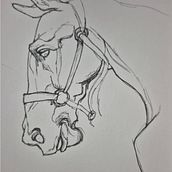 Mis practicas para mejorar mi visión de dibujo Ein Projekt aus dem Bereich Zeichnung, Anatomische Zeichnung, Bleistiftzeichnung, Porträtzeichnung, Sketchbook und Skizzenentwurf von Ana Cecilia Franco Gutierrez - 24.08.2025