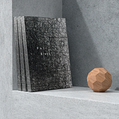 Fall Break . Projekt z dziedziny  Introligatorstwo i Projektowanie graficzne użytkownika Kelly McDowell - 28.08.2025