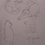 Estudo geral de anatomia animal Ein Projekt aus dem Bereich Design von Figuren, Kinderillustration, Zeichnung und Bleistiftzeichnung von mariagabriellacunha2 - 28.08.2025