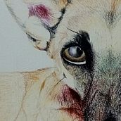 La Consentida . Traditional illustration, and Naturalistic Illustration project by sofiamgarciaestrada - 08.31.2025