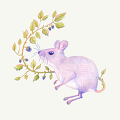 Illustration surréaliste inspirée par la nature, le mûrier de la souris. Un projet de Dessin, Dessin au cra, on, Dessin artistique, Illustration traditionnelle, Illustration naturaliste, Dessin aux cra , et ons de couleur de Charlène Leroux - 31.08.2025