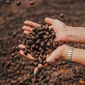 EL CAFÉ, UN SABOR QUE TE ENVOLVERÁ. Un progetto di Comunicazione, Cop, writing, Marketing, Content marketing, Stor e telling di Ricardo G. Salazar - 01.09.2025