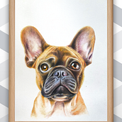 Un bulldog francés. Un progetto di Illustrazione tradizionale, Illustrazione naturalistica e Disegno a matita di Luis Jordán - 01.09.2025