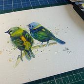 Green Headed Tanager Couple Ein Projekt aus dem Bereich Aquarellmalerei von chrisdias - 03.09.2025