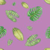 Creación de pattern para estampados botánicos. Ilustração tradicional, Ilustração botânica, Pattern Design, e Pintura em aquarela projeto de Lucile Gutiérrez Bouteau - 04.09.2025