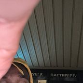 Too wicked . Music Production project by Tristin Myles - 09.05.2025