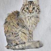 Tara Ein Projekt aus dem Bereich Traditionelle Illustration und Naturalistische Illustration von Giulia - 05.09.2025
