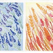 Pola lawendy. Artes plásticas, Ilustração tradicional, Pintura, Pintura em aquarela, e Teoria da cor projeto de Sophie Sanguis - 08.09.2025